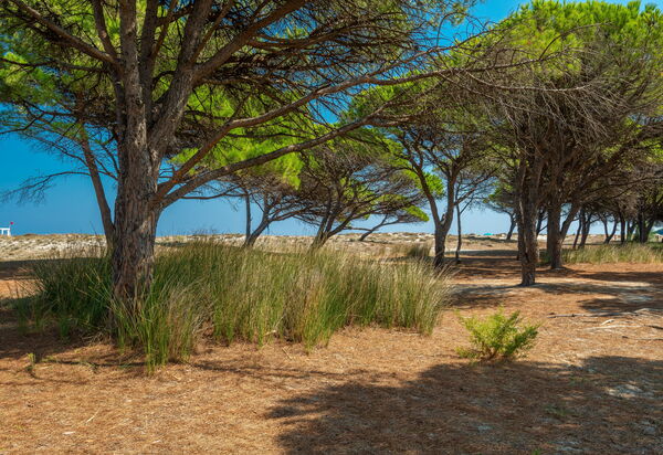 Budoni Homes Seaside, Ac And Bike: Autunno, Estate, Esterni, Inverno, Primavera