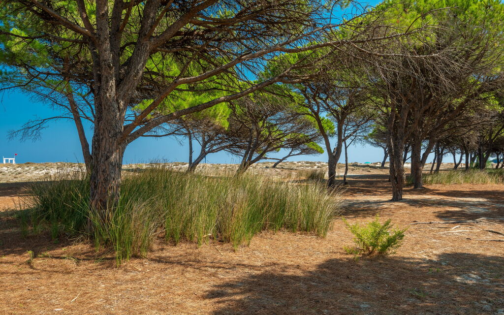 Budoni Homes Seaside, Ac And Bike: Autumn, Building Exterior, Spring, Summer, Winter