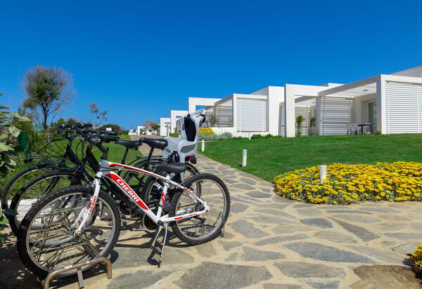 Charming Apartment Ac In Stintino: Attività, Autunno, Estate, Inverno, Primavera