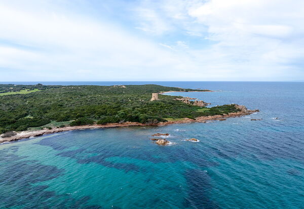 Il Mirto Appartamenti, Ac e Wifi, Gallura: all'aperto, Attività, Autunno, Estate, Primavera