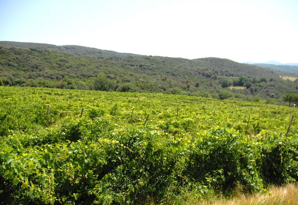 Podere San Giovanni: podere-san-giovanni-narni-terni-villa-view