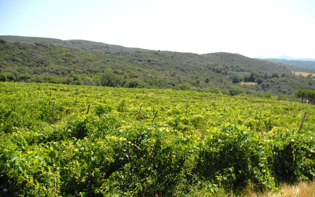 Podere San Giovanni: podere-san-giovanni-narni-terni-villa-vista