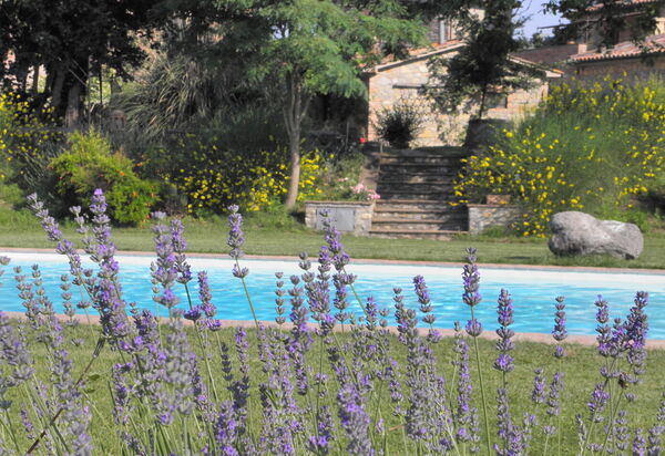 Borgo Santa Maria, Private Pool, Perugia: Autumn, Pool, Spring, Summer