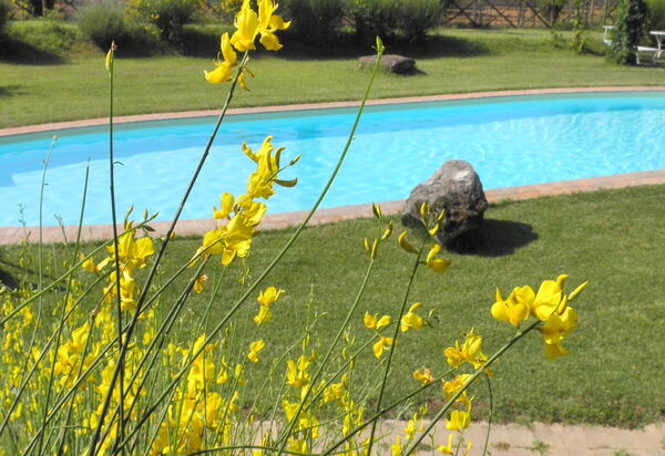 Appartamento La Vecchia Cedraia, Wifi, Perugia: Autumn, Pool, Spring, Summer, Winter