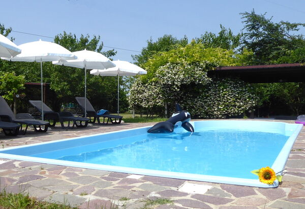 Silea Apartments, Pool, Garden, Treviso: Autumn, Pool, Spring, Summer