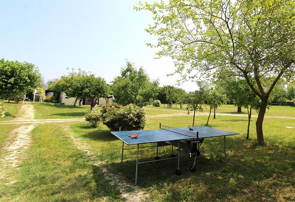 Silea Apartments, Pool, Garden, Treviso: Autumn, Garden, Spring, Summer