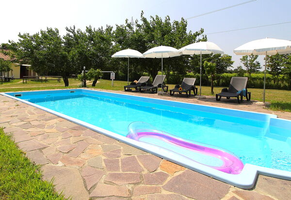 Silea Apartments, Pool, Garden, Treviso: Autumn, Pool, Spring, Summer