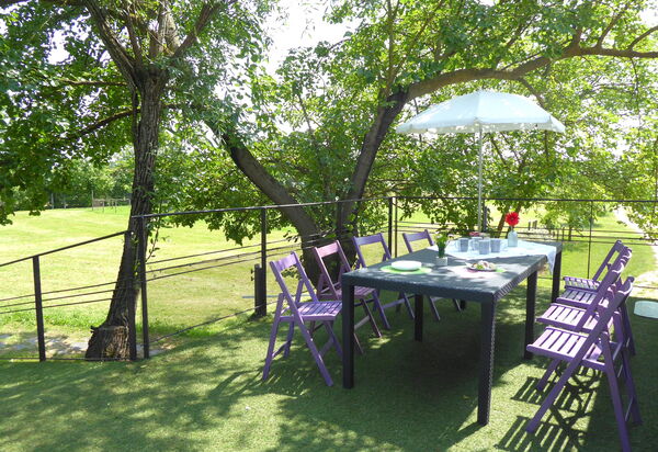 Silea Apartments, Pool, Garden, Treviso: Autumn, Garden, Spring, Summer