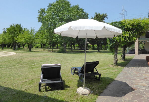 Silea Apartments, Pool, Garden, Treviso: Autumn, Garden, Spring, Summer