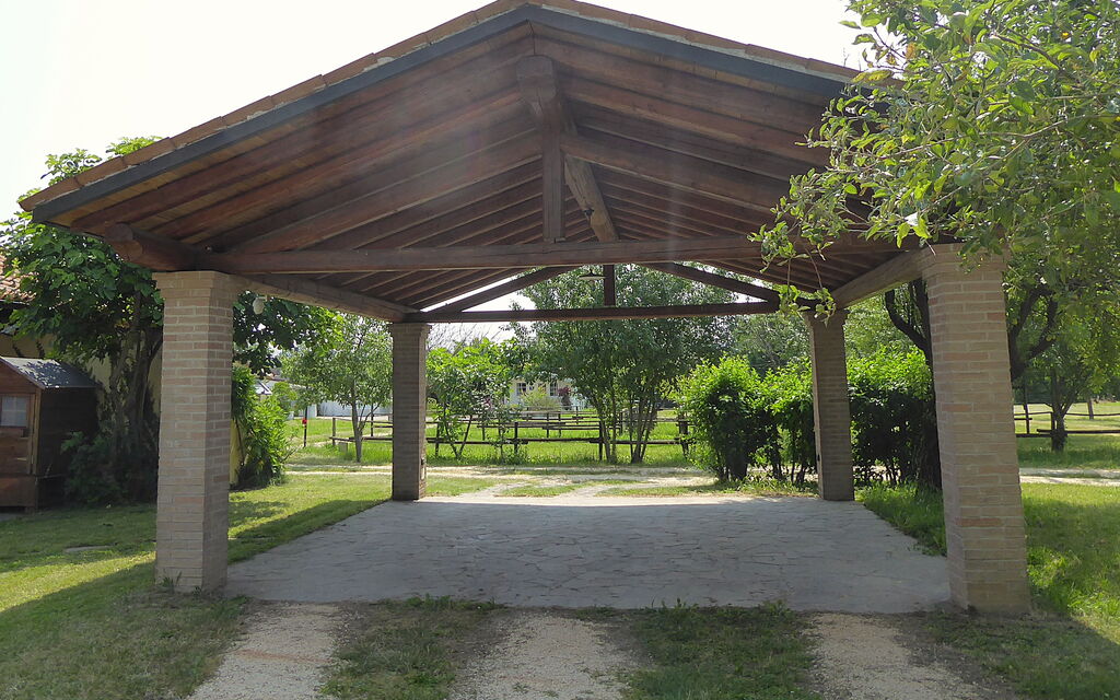 Silea Apartments, Pool, Garden, Treviso - : Autunno, Estate, Giardino, Primavera