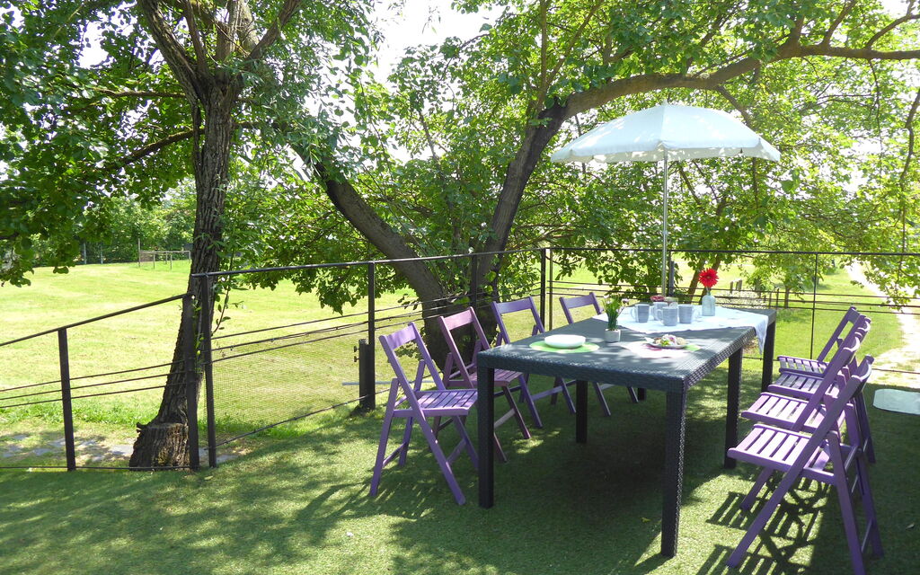 Silea Apartments, Pool, Garden, Treviso: Autunno, Estate, Giardino, Primavera