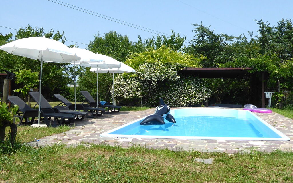 Silea Apartments, Pool, Garden, Treviso: Autunno, Estate, Giardino, Piscina, Primavera