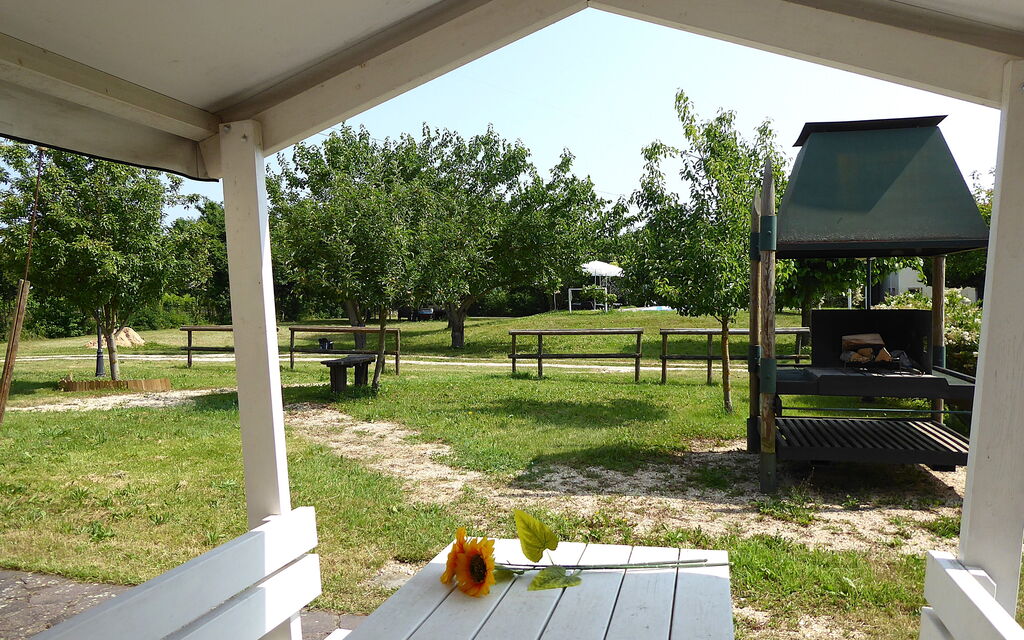 Silea Apartments, Pool, Garden, Treviso - : Autumn, Garden, Spring, Summer