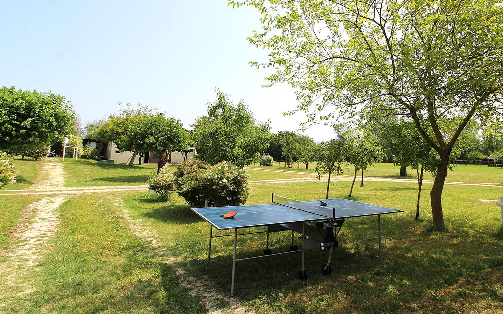 Silea Apartments, Pool, Garden, Treviso: Autunno, Estate, Giardino, Primavera