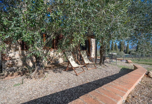 Agriturismo Agresto Apartments And Cottage, Pool, Casole D'elsa: Autunno, Estate, Giardino, Primavera