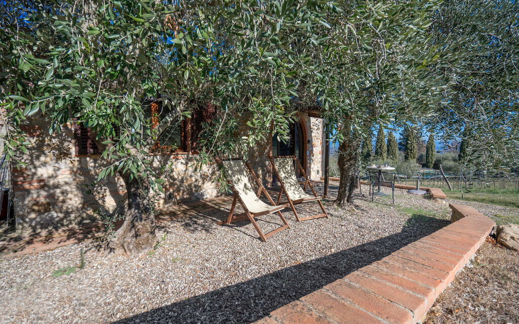 Agriturismo Agresto Apartments And Cottage, Pool, Casole D'elsa - : Autunno, Estate, Giardino, Primavera