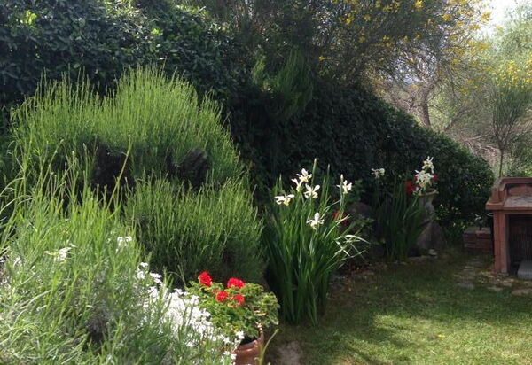 Casa Viola Pool, Wifi, Montaione: Autumn, Garden, Spring, Summer