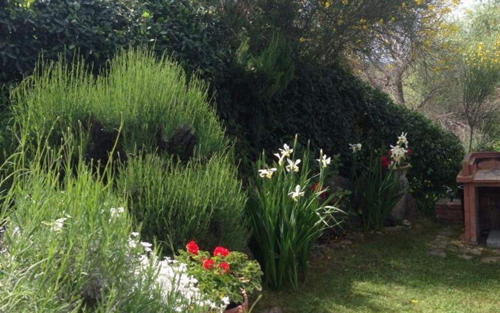 Casa Viola Pool, Wifi, Montaione: Autunno, Estate, Giardino, Primavera