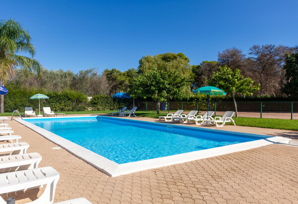 Beach Life Apartment In Boncore: Autunno, Estate, Inverno, Piscina, Primavera