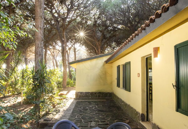 Nature & Country Resort Near The sea: Autunno, Entrata Principale, Estate, Esterni, Inverno, Primavera