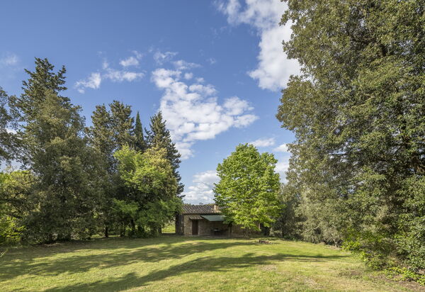 Cottage Monti Pet Friendly With Shared Pool: Autunno, Estate, Giardino, Primavera