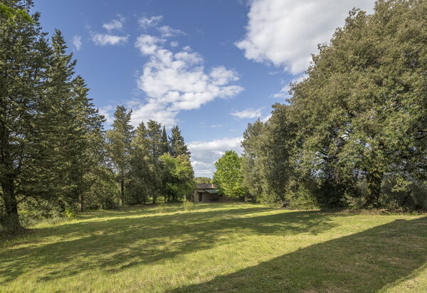 Cottage Monti Pet Friendly With Shared Pool: Autunno, Estate, Giardino, Primavera