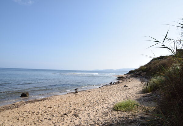 Residenza Agnese Sardegna: Autunno, Estate, Esterni, Primavera