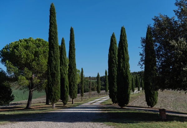 Country House In Tuscan Hills: Activities, Autumn, Building Exterior, Garden, Outdoor, Spring, Summer, Winter