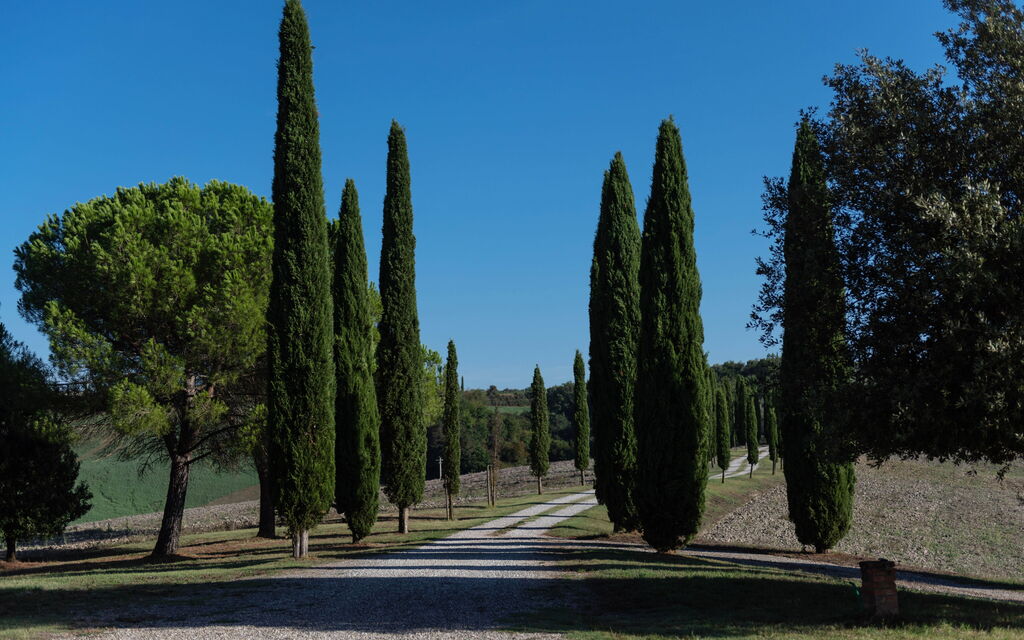 Country House In Tuscan Hills: Activities, Autumn, Building Exterior, Garden, Outdoor, Spring, Summer, Winter