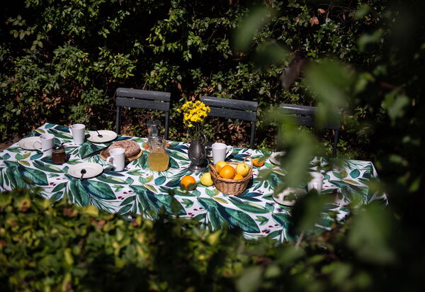 Green Hill Apartment In Tuscan Countryside: Activities, Autumn, Building Exterior, Garden, Outdoor, Scenic View, Spring, Summer, Winter