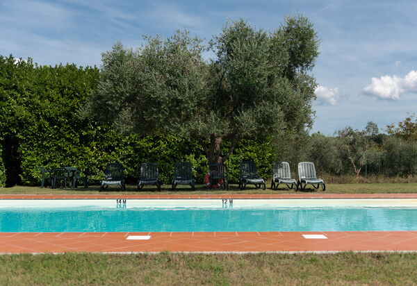 Green Hill Apartment In Tuscan Countryside: Autumn, Building Exterior, Garden, Pool, Spring, Summer, Winter