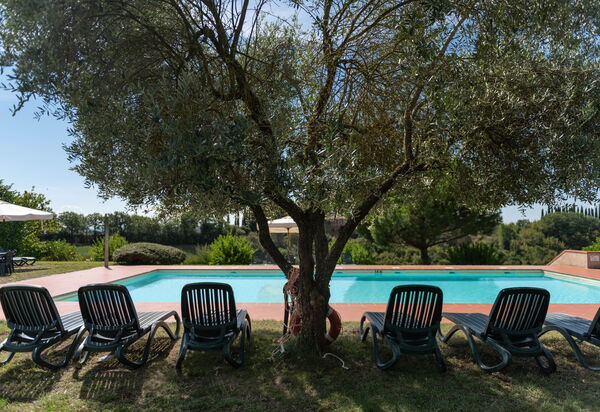Green Hill Apartment In Tuscan Countryside: Autumn, Building Exterior, Garden, Pool, Spring, Summer, Winter