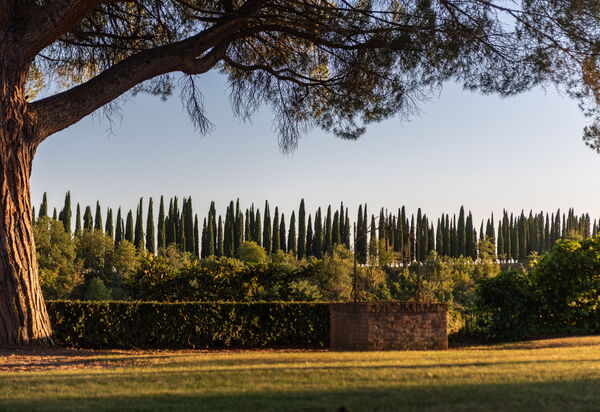 Green Hill Apartment In Tuscan Countryside: Activities, Autumn, Building Exterior, Garden, Outdoor, Scenic View, Spring, Summer, Winter