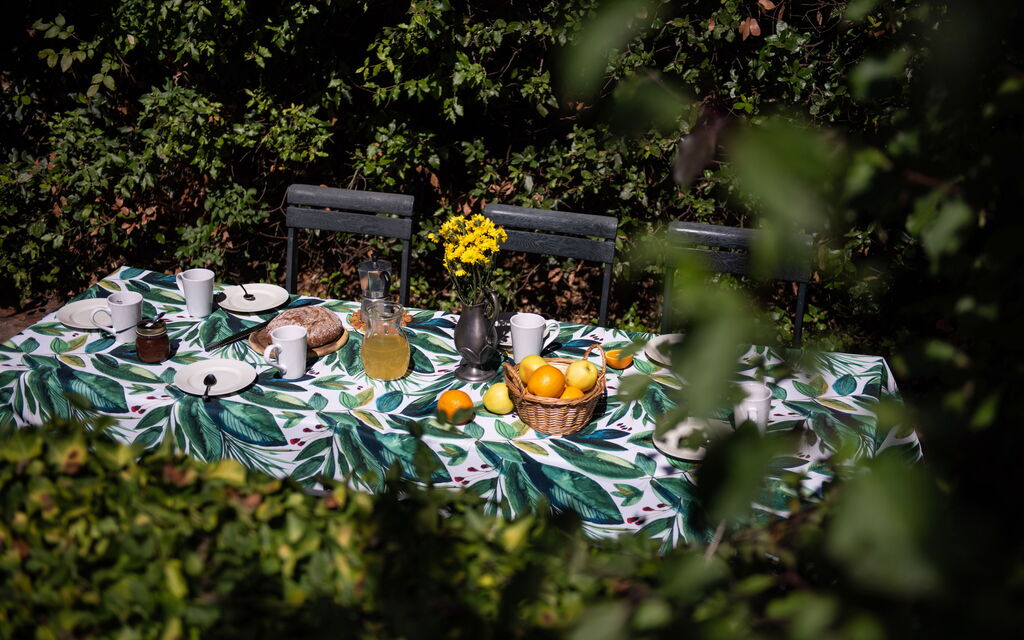 Green Hill Apartment In Tuscan Countryside: all'aperto, Attività, Autunno, Estate, Esterni, Giardino, Inverno, Primavera, Vista Panoramica