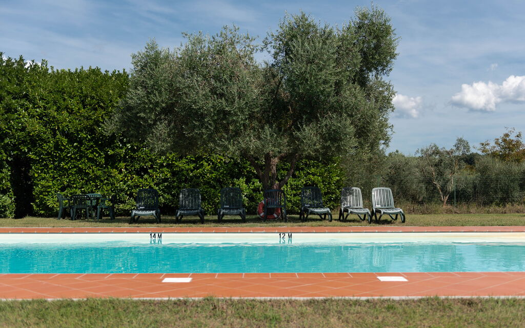 Green Hill Apartment In Tuscan Countryside: Autunno, Estate, Esterni, Giardino, Inverno, Piscina, Primavera