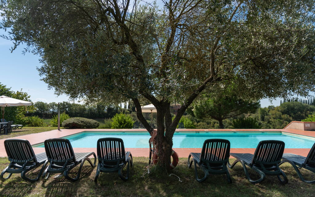 Green Hill Apartment In Tuscan Countryside: Autunno, Estate, Esterni, Giardino, Inverno, Piscina, Primavera