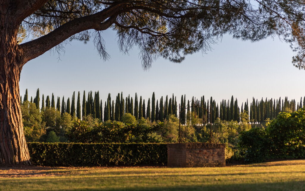 Green Hill Apartment In Tuscan Countryside: all'aperto, Attività, Autunno, Estate, Esterni, Giardino, Inverno, Primavera, Vista Panoramica