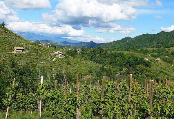 Villa Montello Pool, Jacuzzi, Ac, Wifi, Treviso: Activities, Autumn, Building Exterior, Spring, Summer