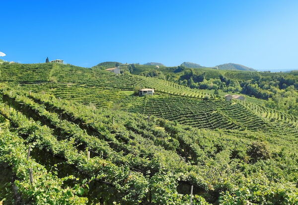 Villa Montello Pool, Jacuzzi, Ac, Wifi, Treviso: Activities, Autumn, Building Exterior, Spring, Summer