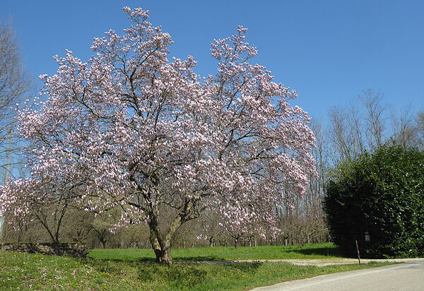 Villa Montello Pool, Jacuzzi, Ac, Wifi, Treviso: Activities, Autumn, Building Exterior, Spring, Summer