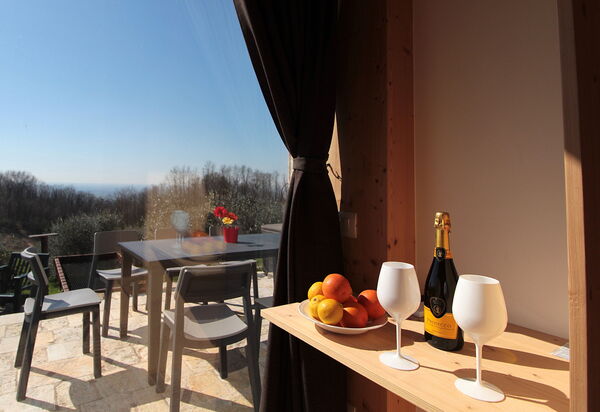 Villa Montello Pool, Jacuzzi, Ac, Wifi, Treviso: Autumn, Dining Room, Spring, Summer