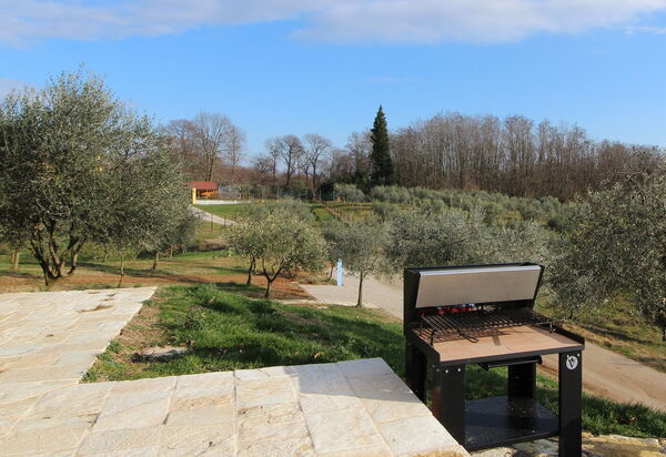 Villa Montello Pool, Jacuzzi, Ac, Wifi, Treviso: Autumn, Garden, Spring, Summer