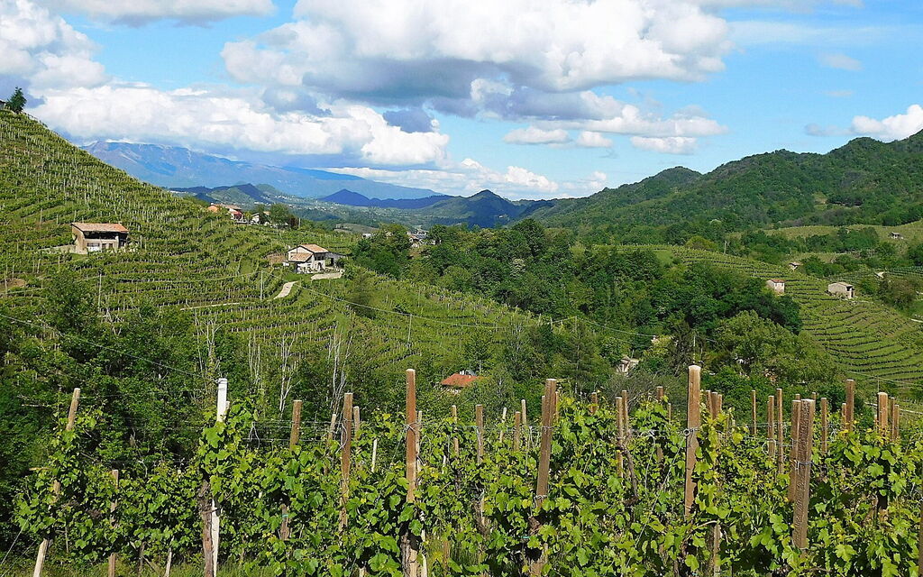 Villa Montello Pool, Jacuzzi, Ac, Wifi, Treviso: Activities, Autumn, Building Exterior, Spring, Summer