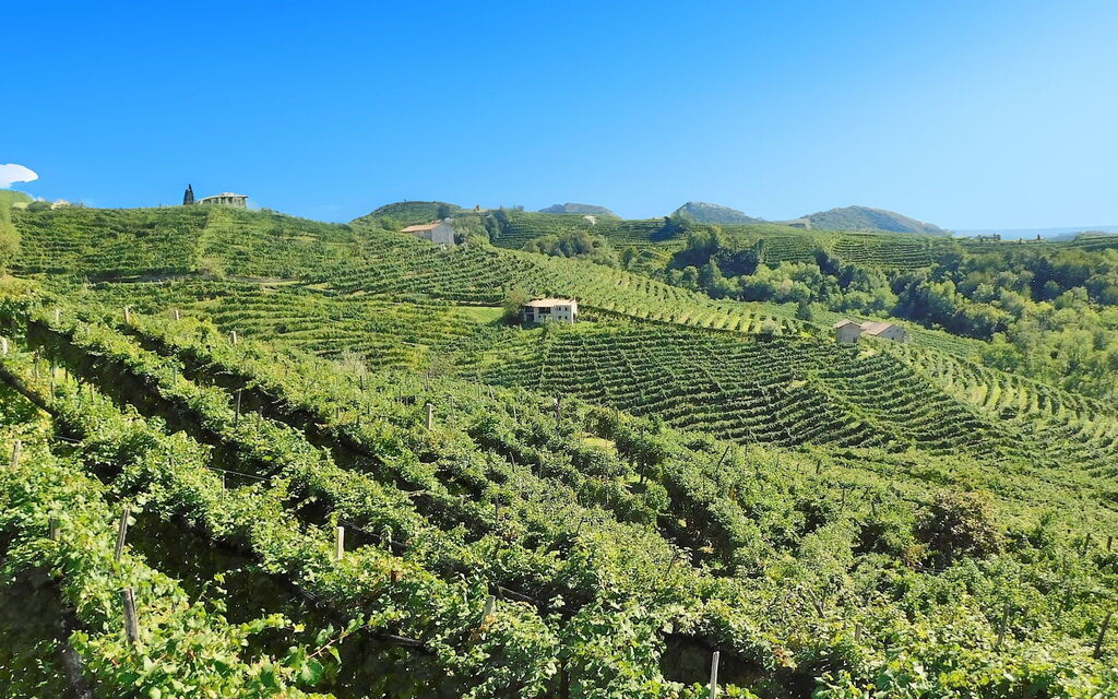 Villa Montello Pool, Jacuzzi, Ac, Wifi, Treviso: Activities, Autumn, Building Exterior, Spring, Summer