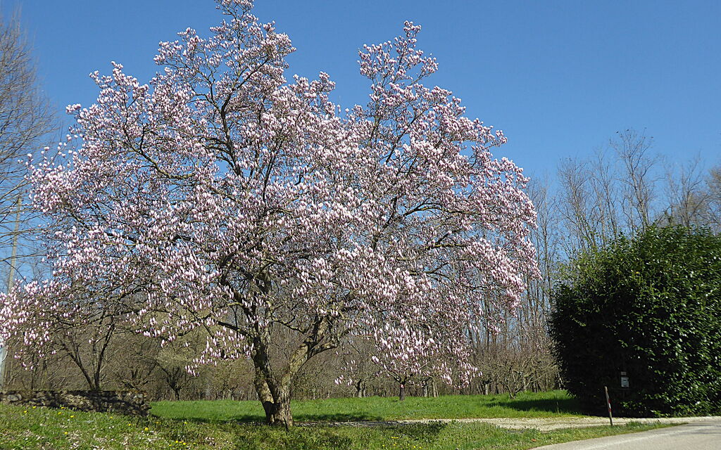 Villa Montello Pool, Jacuzzi, Ac, Wifi, Treviso: Activities, Autumn, Building Exterior, Spring, Summer