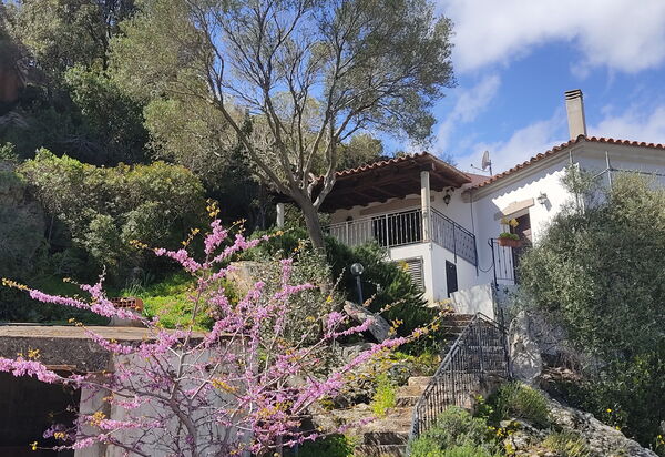 Belvedere Apartment Ac, Budoni: Autunno, Entrata Principale, Estate, Primavera