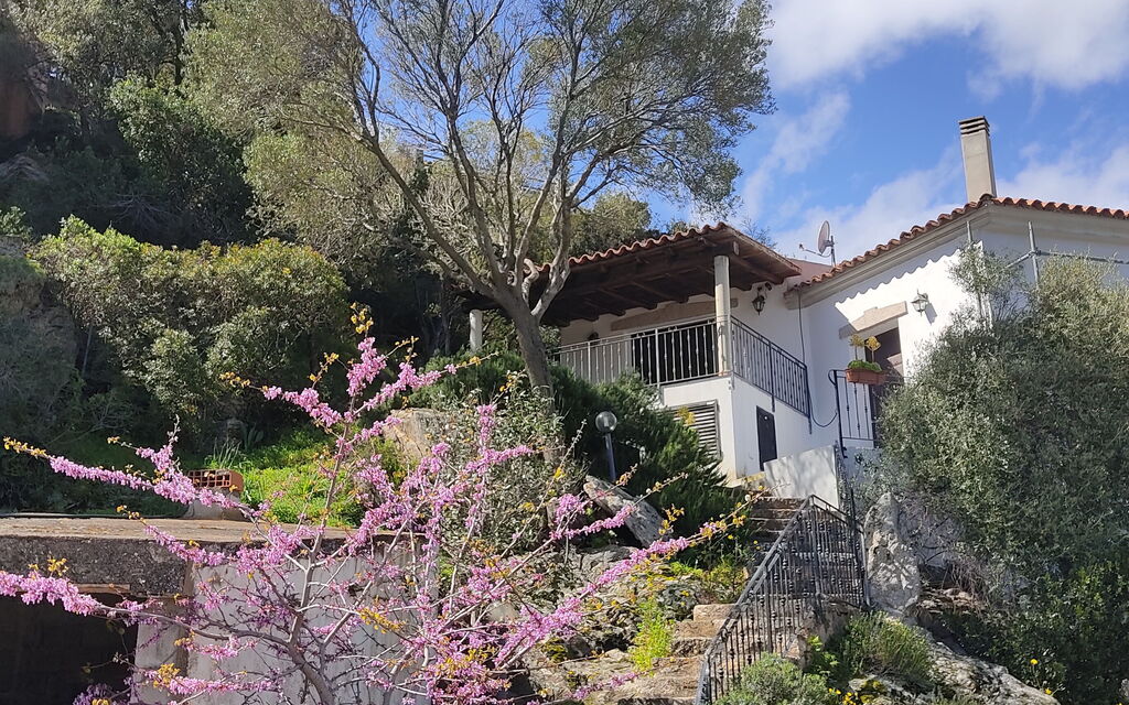 Belvedere Apartment Ac, Budoni: Autumn, Main Entrance, Spring, Summer