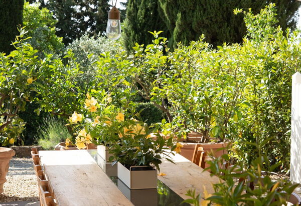 Il Casolese Vignamaggio, Private Pool, Nature, Greve In Chianti: Autumn, Balcony / Terrace / Patio, Spring, Summer