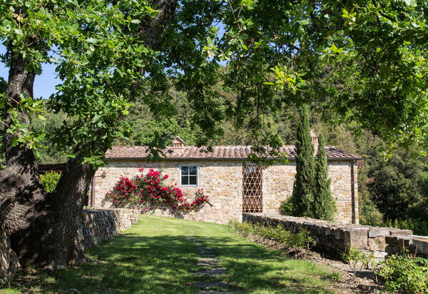 Il Prato Vignamaggio Private Pool, Nature, Greve In Chianti: Autumn, Garden, Spring, Summer