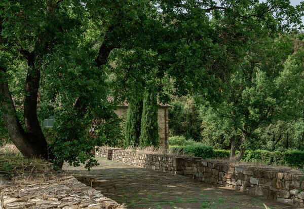 Il Prato Vignamaggio Private Pool, Nature, Greve In Chianti